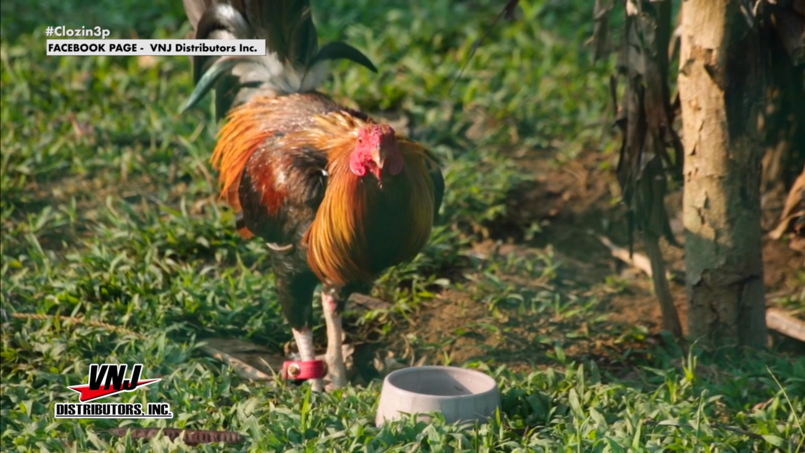 Vet ni Juan September 13, 2025